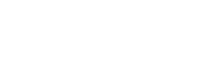 CHERVONA VODKA